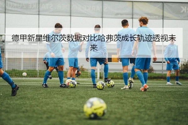 德甲新星维尔茨数据对比哈弗茨成长轨迹透视未来