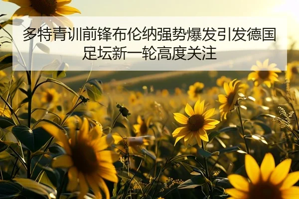 多特青训前锋布伦纳强势爆发引发德国足坛新一轮高度关注